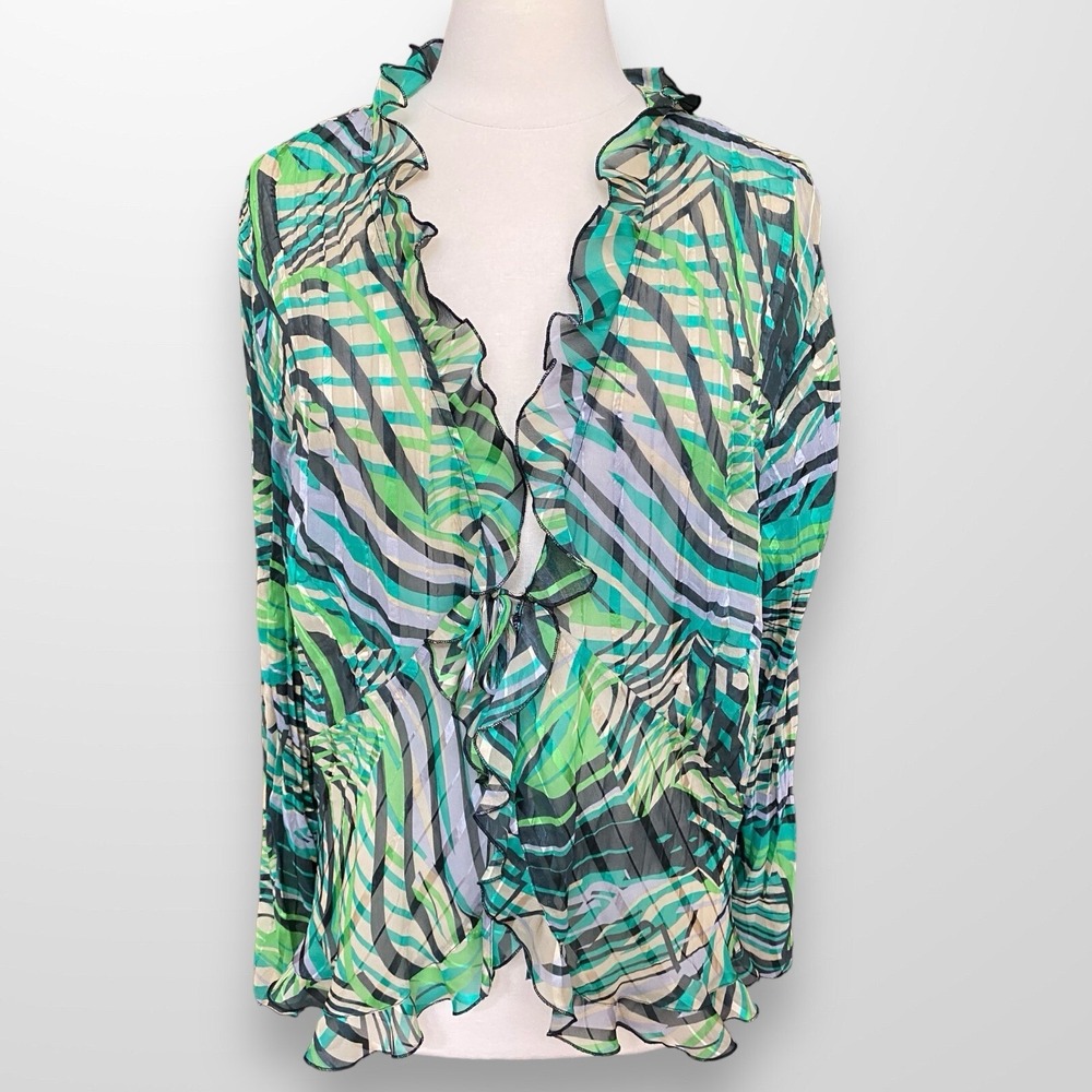 NY Collection Woman Size 2X Sheer Blouse Top Topper Ruffle Pleated Long Sleeve